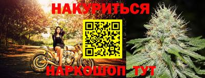 мяу мяу мука Будённовск